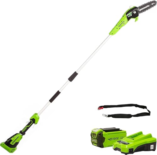 Greenworks G40PSFK2 Akku Hochentaster,20 cm Blattlänge, 8 m/s Kettengeschwindigkeit, 3,64 kg, automatisches Öl-System, 80 ml Öltank, 2.58m Stangenreichweite, 40V 2Ah Akku & Ladegerät, 3 Jahre Garantie