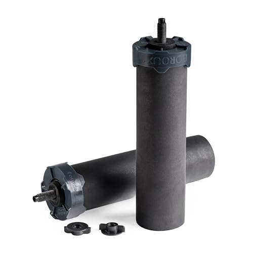 Boroux Foundation Schwarze Wasserfilter für Schwerkraft-Wassersysteme (2er Set)