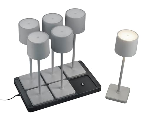 Reality Leuchten LED Akku Außen Tischleuchten Set Fernandez R54096677, 6x Akku Tischleuchten mit 6er-Ladestation, Metall/Kunststoff Grau je 1.5 Watt LED