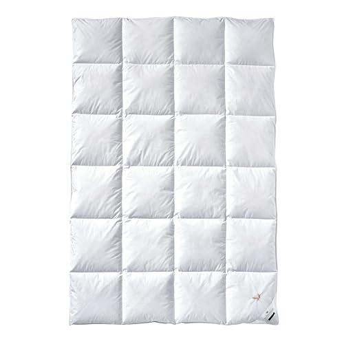 Billerbeck Daunendecke E04 Gold Edition Farbe mittel (M), Größe 155 x 220 cm