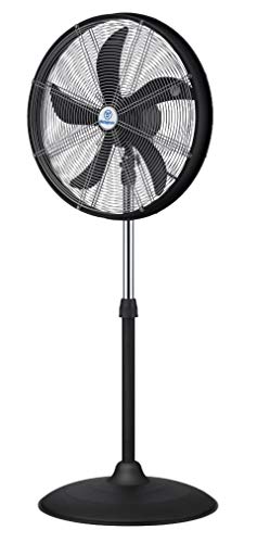 Westinghouse Lighting 7271540 Yucon I 50 cm Standventilator für den Innenbereich, 120 W, 230 V, matt schwarz/chrom, 135 cm