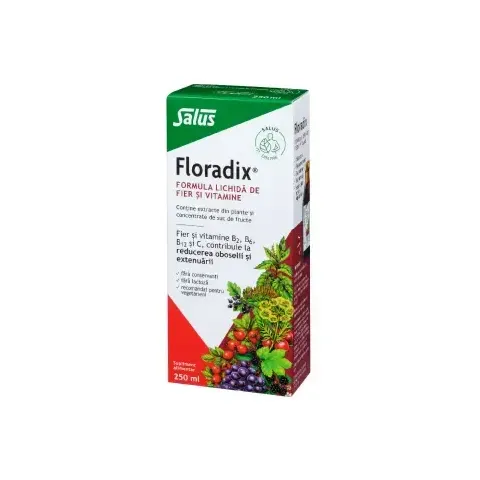 Floradix flüssige Eisen- und Vitaminformel, 250 ml, Salus