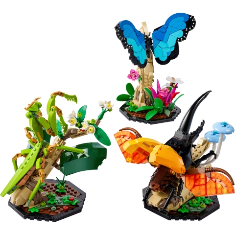 Die Insektensammlung