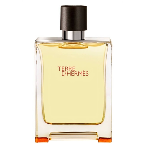 Hermes Terre d'Hermes EDT 100 ml