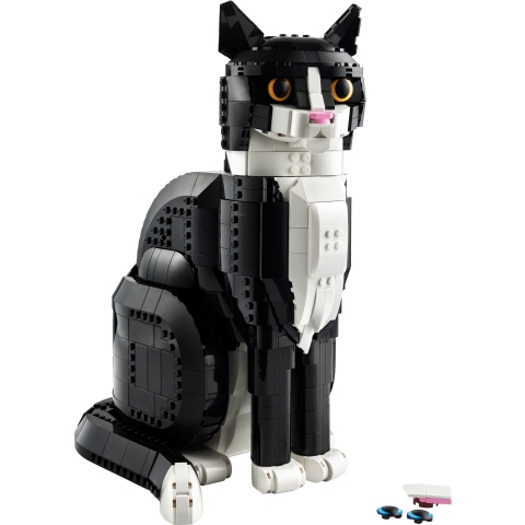 Schwarz-weiße Katze