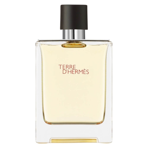 Hermes Terre D Hermes Eau de Toilette, 100 ml