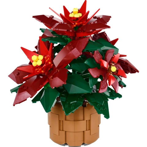Weihnachtsstern