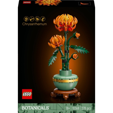 Chrysantheme