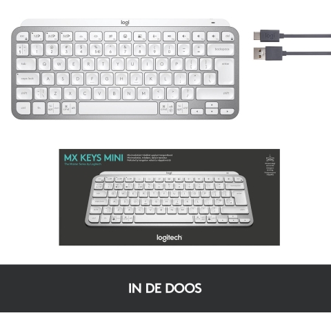 MX Keys Mini Minimalistische kabellose Tastatur mit Tastenbeleuchtung - Hellgrau Deutsch (Qwertz) Two Year Extended Warranty
