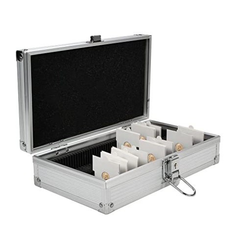 SAFE Nr 295 Alu-Koffer für Münzrähmchen mit 2 Reihen für insgesamt 100 Münzrähmchen 50 x 50 mm | 260 x 155 x 70 mm