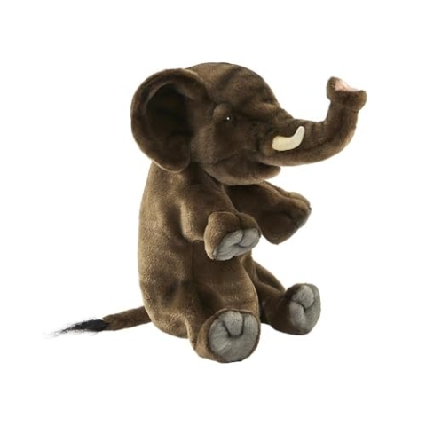 Hansa Animal