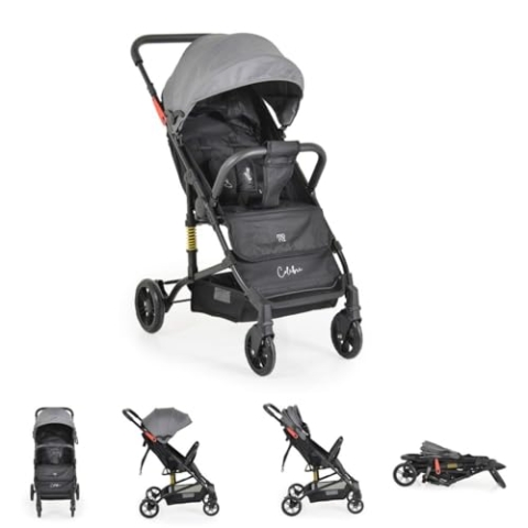 Moni Kinderwagen Buggy Colibri, faltbar, verstellbar, 5-Punkt-Gurt, ab 6 Monaten, Farbe:grau