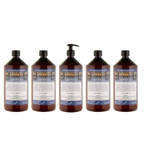 Claudius Bodylotion Hammam Herbal 5 x 1 Liter mit 1 Pumpe (bernstein)