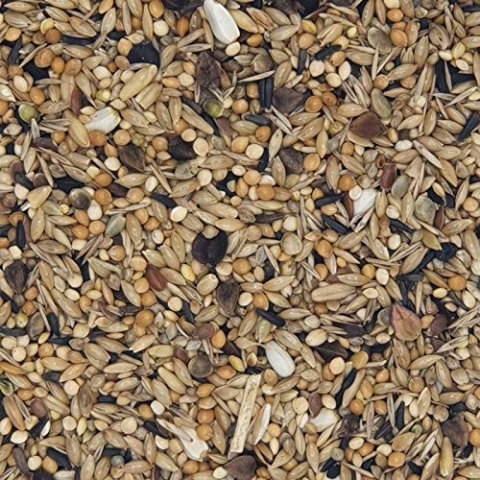 Versele Neophemen 20 kg
