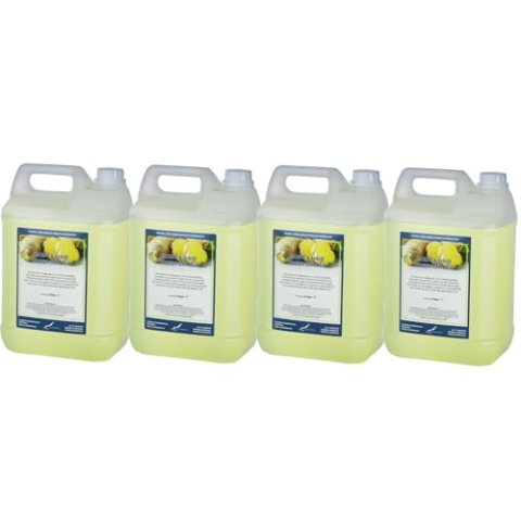 Body & Hair Fresh Ingwer - 5 Liter - 4er Set - 2 in 1 für Körper und Haar