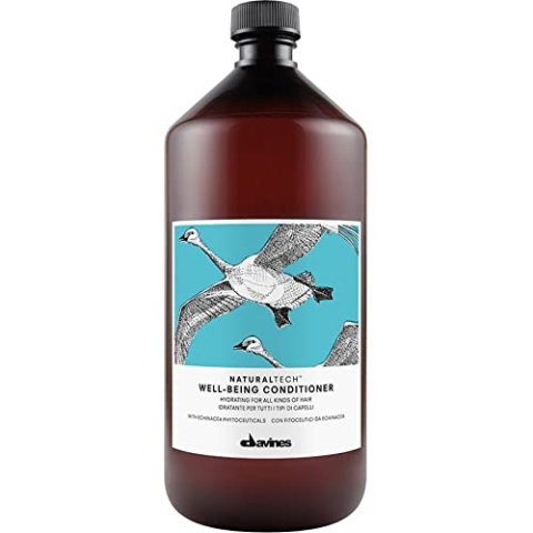 Davines Naturaltech Well-Being Conditioner 1000ml (Salon Size)