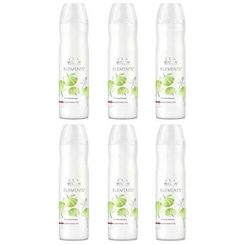 6 er Pack Elements Stärkendes Shampoo 250 ml