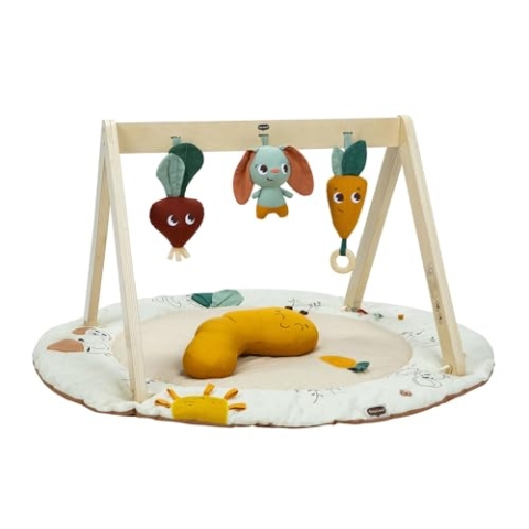 Tiny Love Luxe Developmental Gymini, Baby Activity Gym, 0+ Monate, Baby Spielmatte, 360° Aktivitäten, Bauchzeit-Trainer, verstellbare Bögen, Mitnahmespielzeug, umweltfreundliche Materialien, Garten