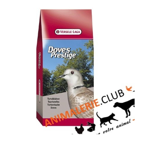 Exotische Wildtauben 20kg