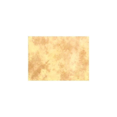Lastolite Hintergrund (gefleckt mit Schleppe)