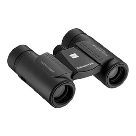 Olympus 10X21 RC II WP Fernglas, schwarz