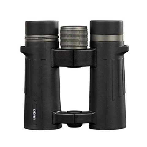 DÖRR Milan XP 10x34 Dachkantfernglas schwarz