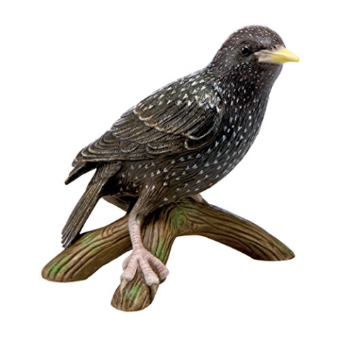 Goebel Vogel des Jahres 2018 & Star (groß)
