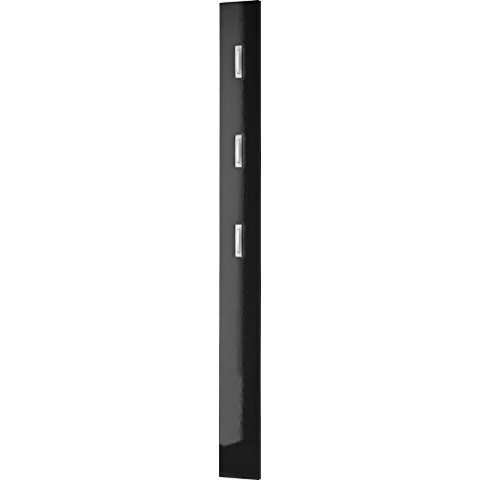 Germania 3255-83 Garderobenpaneel mit ausklappbaren Kleiderhaken Colorado in Schwarz Hochglanz, 15 x 170 x 4 cm (BxHxT)