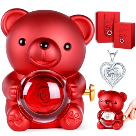 goldmiky Ewige Rosen Bär Geschenkbox mit Halskette, Ewige Rose mit Kette,Rosenbox Geschenk, Rosen Teddybär Geburtstagsgeschenk Halskette Frauen: Muttertag,Valentinstag,Hochzeit,Geburtstag