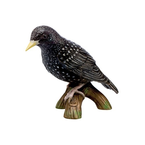 Goebel Vogel des Jahres 2018 & Star (klein)