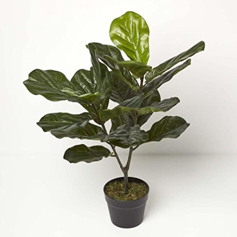 Homescapes Geigenfeige Künstliche Pflanze im Topf, Künstlicher Ficus lyrata, Pflanze wie echt, 75cm groß, grün