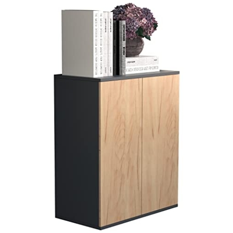 VCM Holz Kommode | Sideboard mit Drehtüren | Maße ca. H. 73 x B. 60 x T. 32 cm - Dalosa 2 Anthrazit/Honig-Eiche