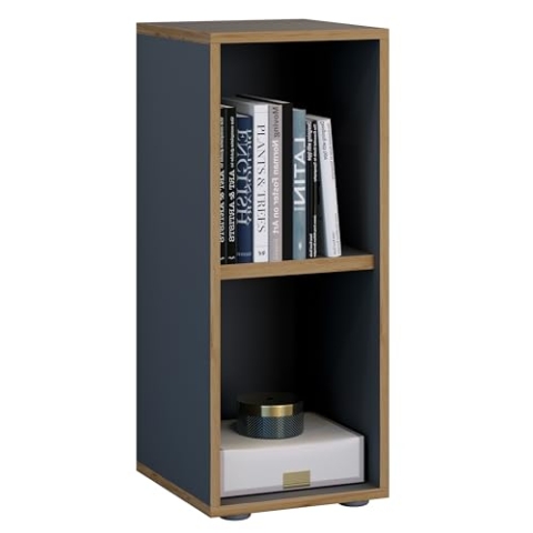 VCM Holzregal stehend | platzsparender Aktenschrank | Maße ca. H. 74 x B. 30 x T. 33 cm | Elegantes Regal | Büroregal – Salia 2fach B. 30 cm Anthrazit
