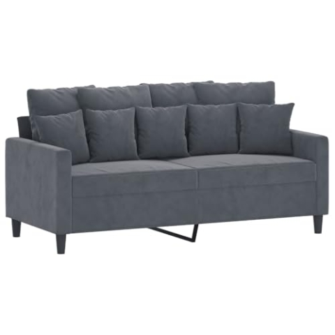 vidaXL Sofa 2-Sitzer, Loungesofa Couch mit Armlehnen Rückenkissen, Wohnzimmersofa Designsofa Metallgestell, Sitzmöbel Zweisitzer, Dunkelgrau Samt