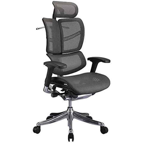CLP Bürostuhl Norfolk Ergonomic I Ergonomischer Schreibtischstuhl I Kopfstütze, Farbe:grau