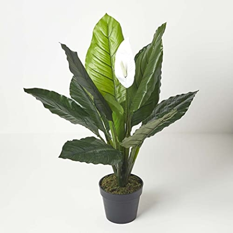 HOMESCAPES große künstliche Friedenslilie im Topf, Kunstpflanze Spathiphyllum Wallisii mit weißen Blüten, Scheidenblatt, künstliche tropische Pflanze für den Indoor-Bereich, Einblatt, 90 cm hoch