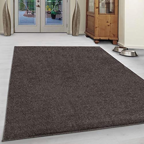 Ayyildiz Teppich-Teppich Modern Designer einfarbig kurzflor, Polypropylen, Mocca, 120 X 170