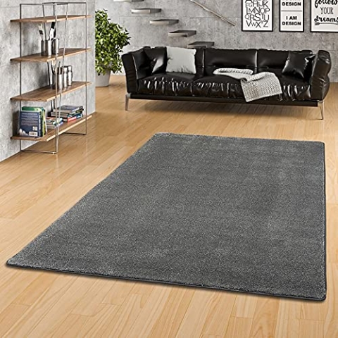 Snapstyle Hochflor Luxus Velours Teppich Touch Anthrazit in 24 Größen