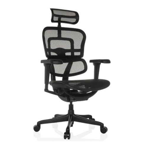 hjh OFFICE Bürostuhl ergonomisch ERGOHUMAN Signature GEN2 Originales Design, Bürosessel mit Flexibler Lendenwirbelstütze, Netzbespannung, Schwarz