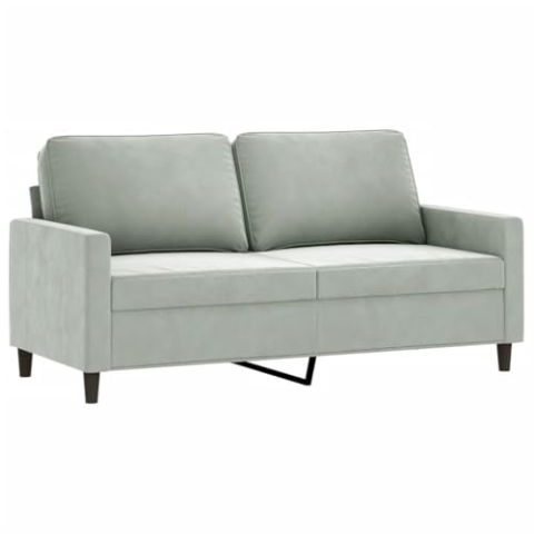vidaXL Sofa 2 Sitzer, Couch für Wohnzimmer, Polstersofa mit Metallgestell, Loungesofa Zweisitzer Wohnzimmersofa Wohnzimmermöbel, Hellgrau Samt