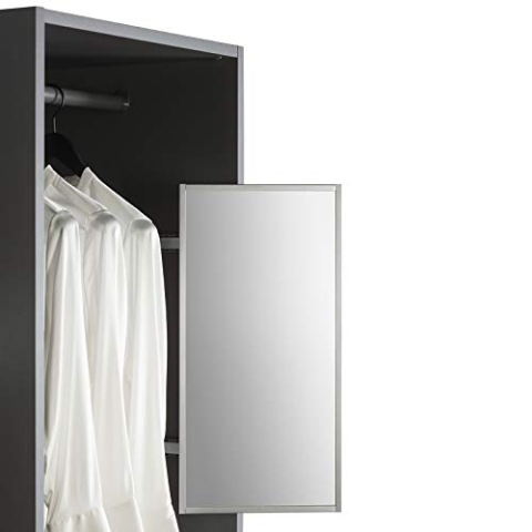 SOTECH Schrankspiegel anthrazit 565 x 305 mm ausziehbar Spiegel schwenkbar 180° Kleiderschrankspiegel