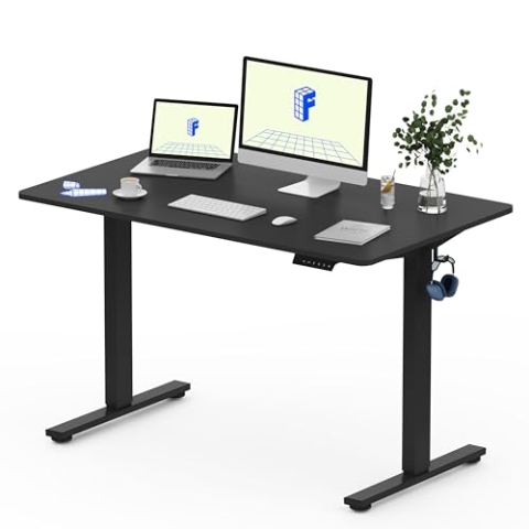 FlexiSpot Höhenverstellbarer Schreibtisch Basic–Mit Kabelmanagement, Haken und EINTEILIGER Tischplatte, Ergonomischer Homeoffice-Tisch, Bürotisch (120x60cm, Schwarz)