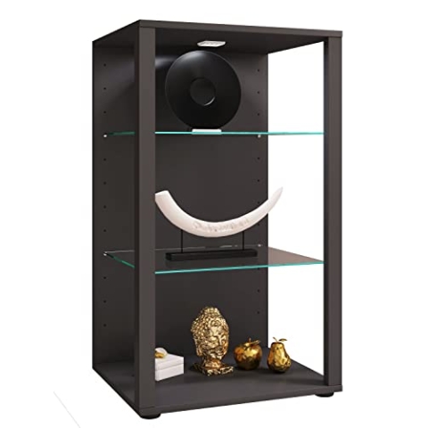VCM Glasvitrine stehend | Vitrine Glas mit ESG-Sicherheitsglas | Maße ca .H. 90 x B. 52 x T. 44 cm | Standvitrine Glas | Modern und platzsparend | Glas Vitrinenschrank – Glasol XL Anthrazit