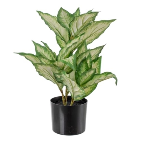 BigBuy Home Dieffenbachia Deko-Pflanze, Polyethylen, PEVA, 42 x 42 x 52 cm
