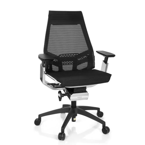 hjh OFFICE 652890 Profi Bürostuhl GENIDIA SMART White cm Netzstoff Schwarz/Chrom ergonomischer Drehstuhl mit verstellbaren Armlehnen, Sitz neigbar