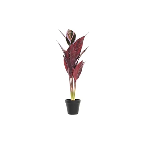 DKD Home Decor Dekorative Pflanze, Standard