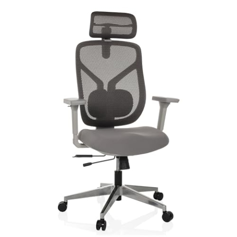 hjh OFFICE Bürostuhl ergonomisch CASSILIS W Netz Drehstuhl, Verstellbare Rückenlehne mit Lendenstütze, Körpergröße bis 220 cm, Grau