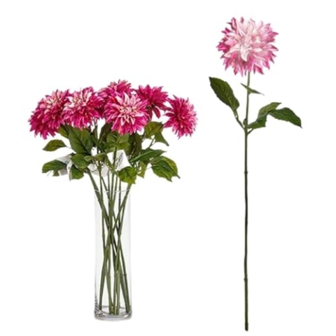 Ibergarden Blume, Standard