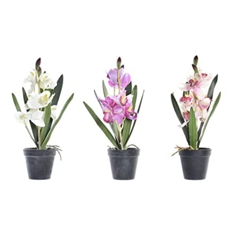 DKD Home Decor Dekorative Pflanze, Standard