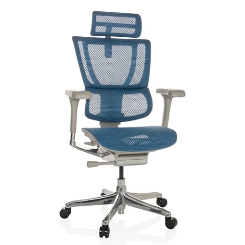 hjh OFFICE Bürostuhl ergonomisch ERGOHUMAN Slim G GEN2 Originales Design, 24h Einsatz, Drehstuhl mit Flexibler Lordosenstütze, Netz Blau